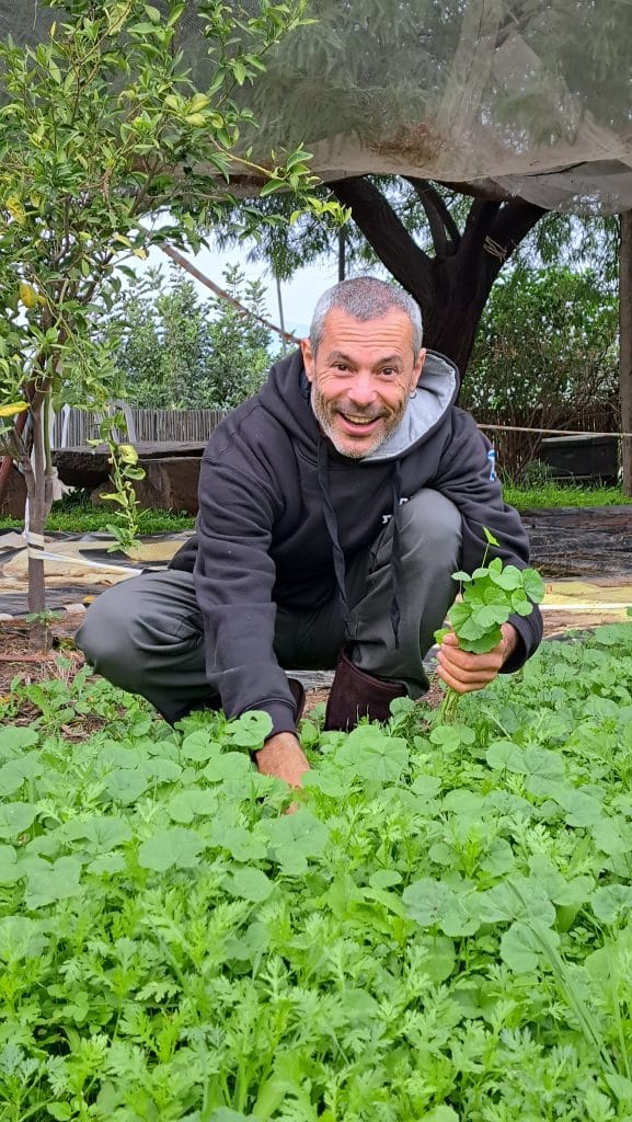 שחר